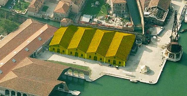 gagiandre (8).JPG